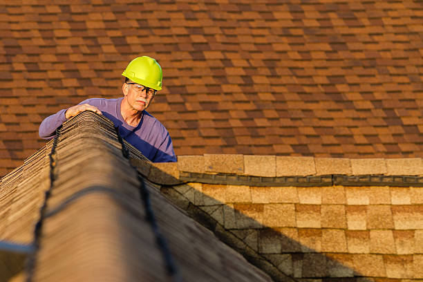 Best Roof Gutter Cleaning  in Longview, TX